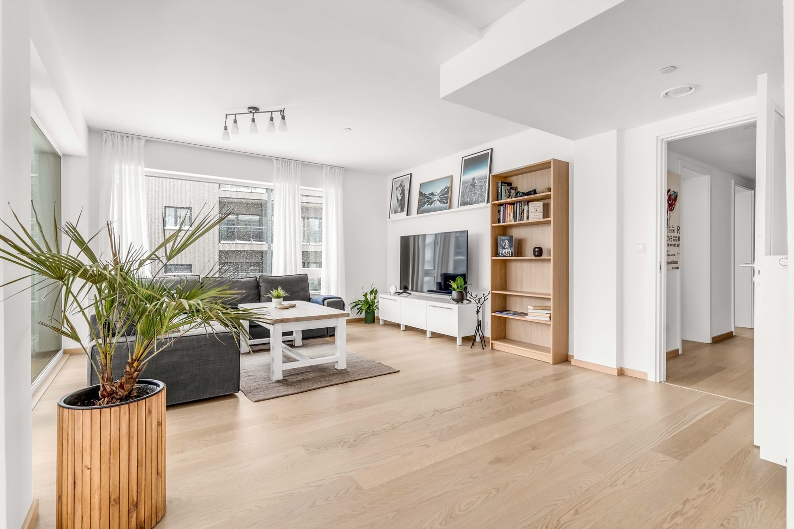 Rommet har store vindusflater, som slipper inn rikelig med naturlig lys fra to himmelretninger. Galleribilde