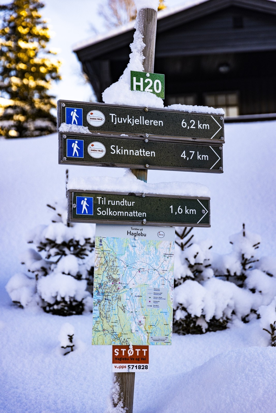 Flotte skiløyper i nærområdet! Galleribilde