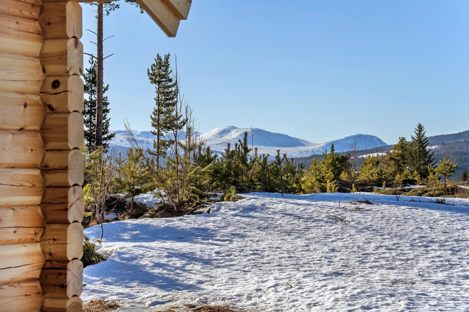 Velkommen til visning i Tørset Hyttegrend 28! Galleribilde