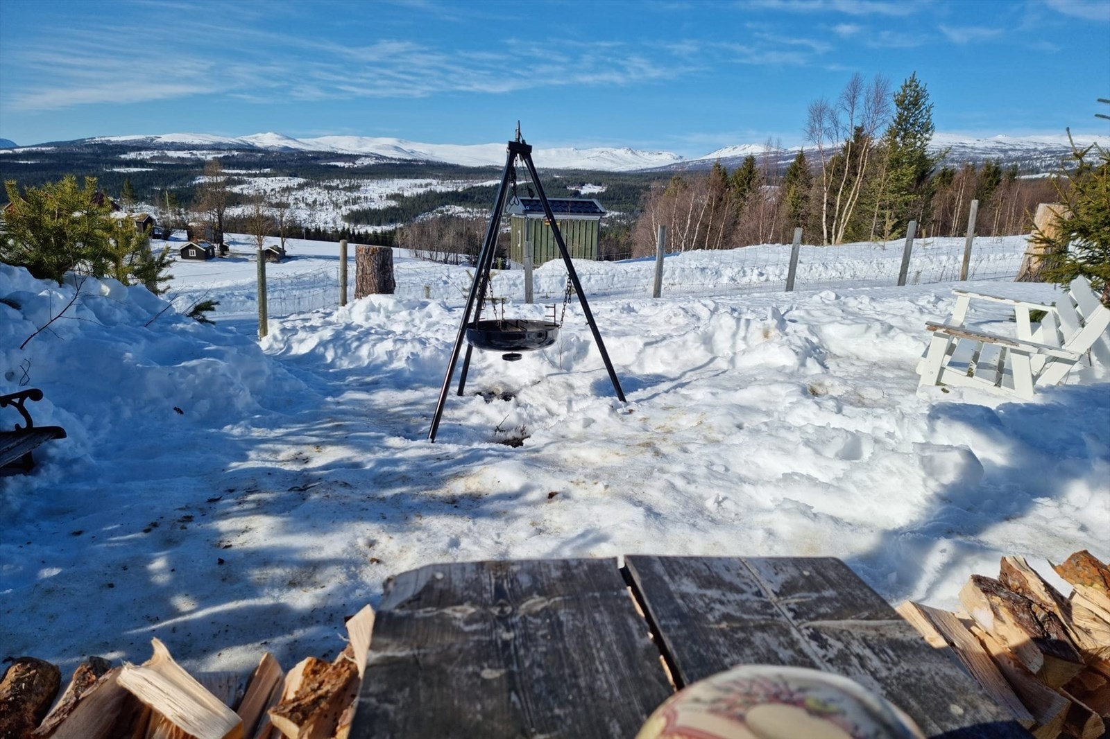 Områdebilde Galleribilde