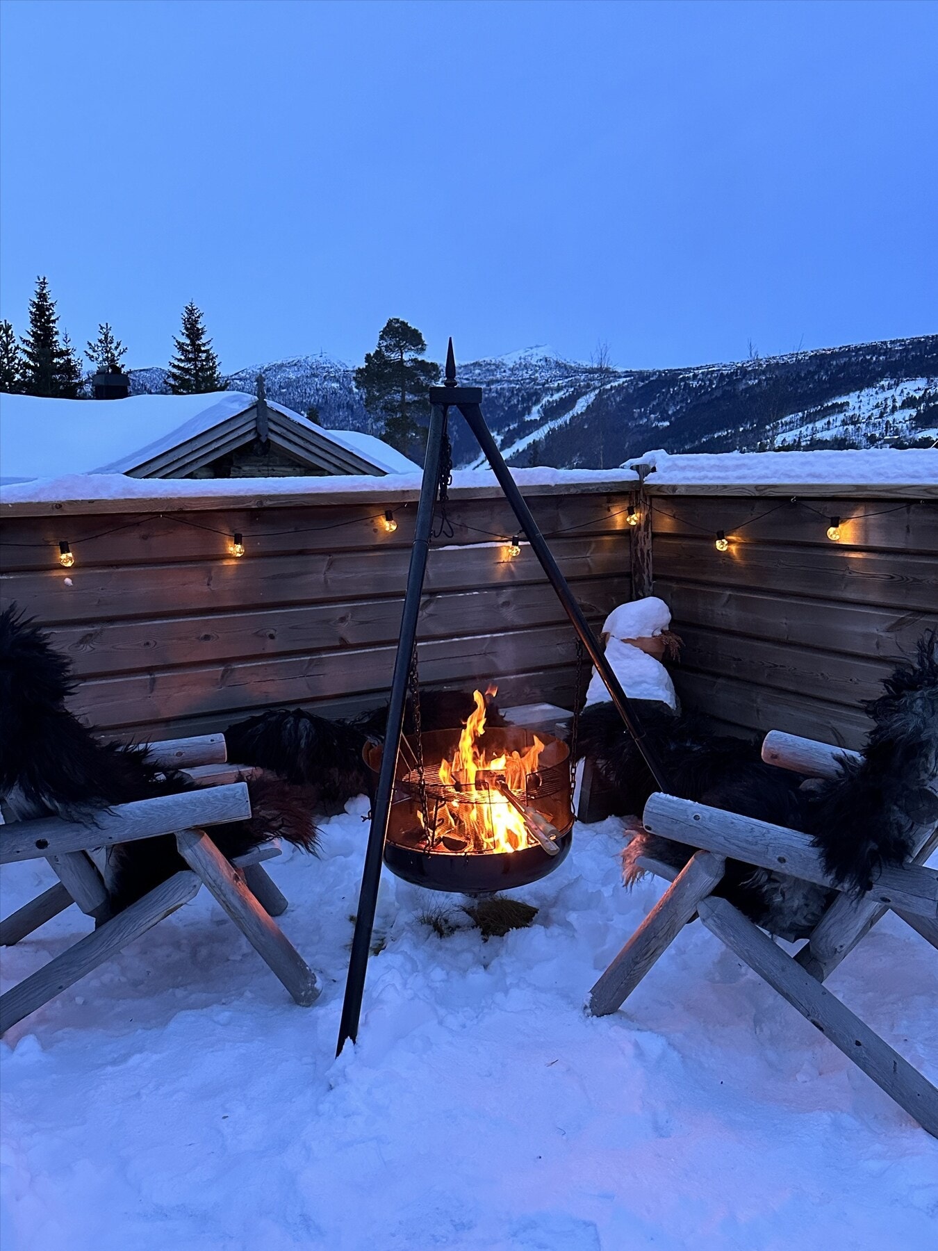 (Selgers bilde) Galleribilde