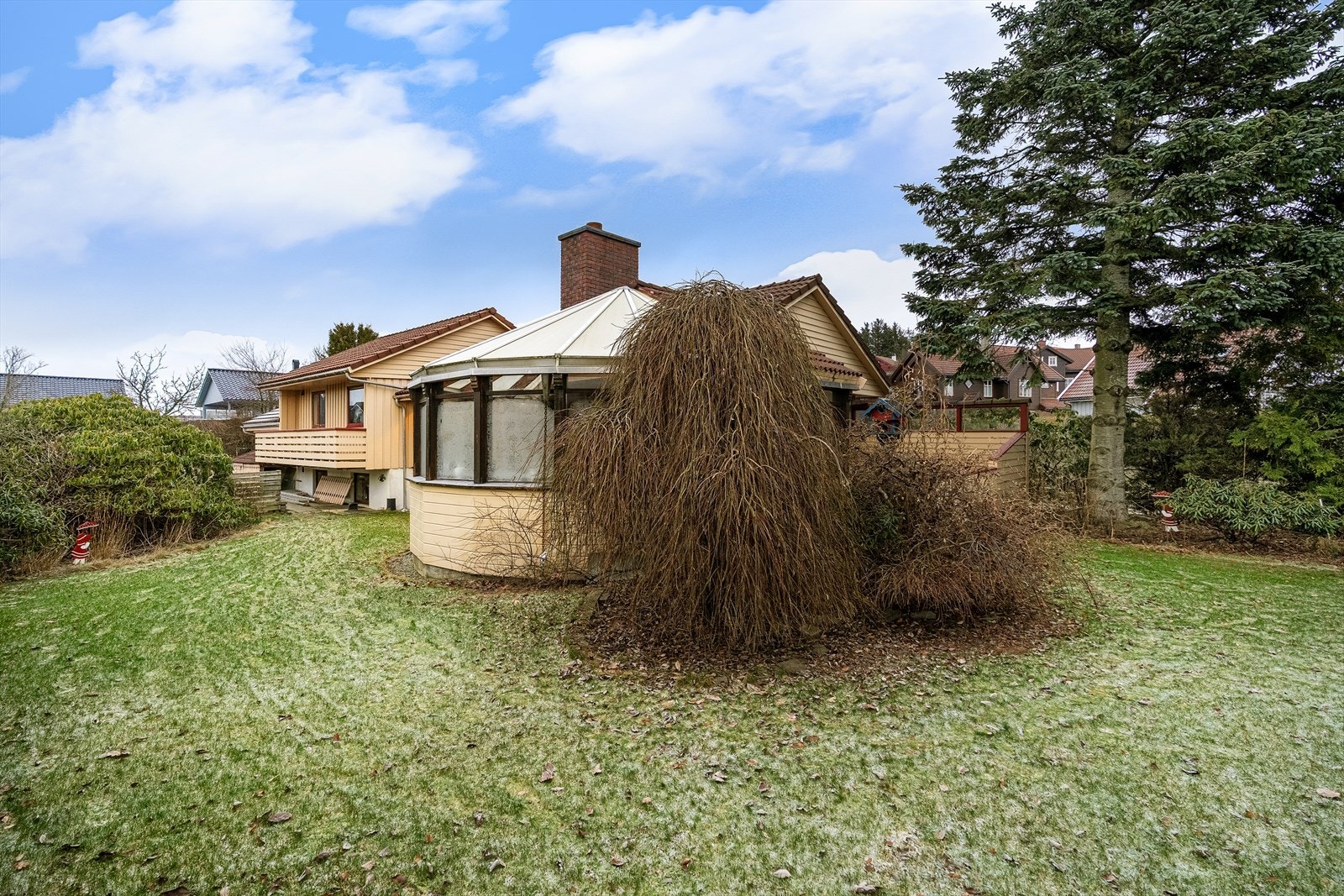 Veletablert og pent opparbeidet tomt med en rekke flotte trær og prydbusker. Galleribilde