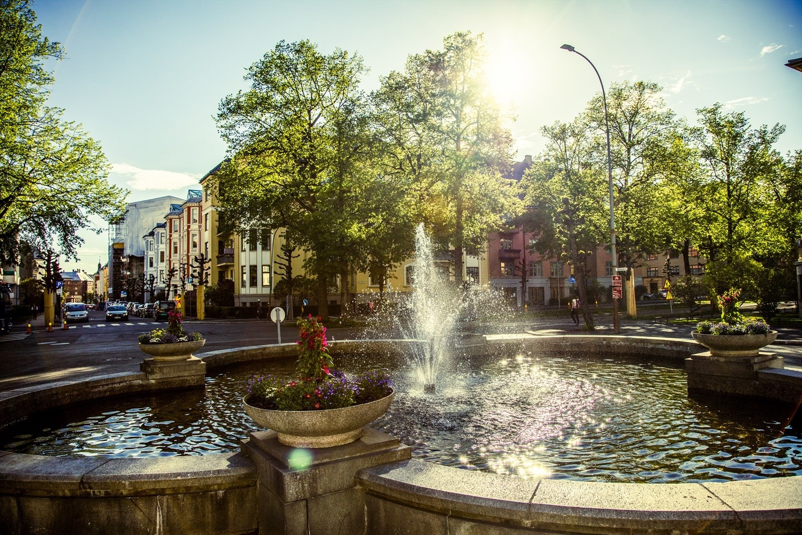 Områdebilde. Galleribilde
