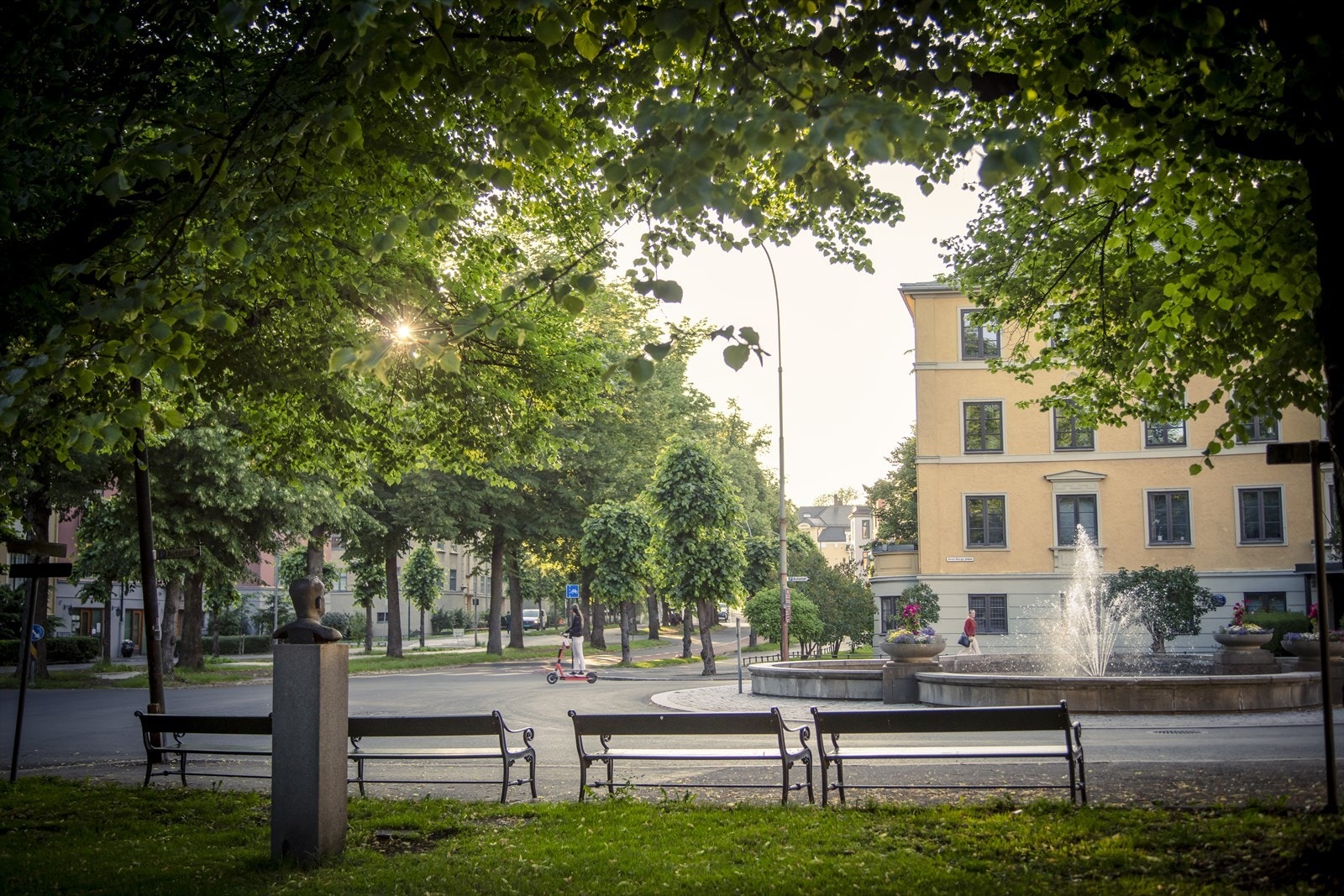 Områdebilde. Galleribilde