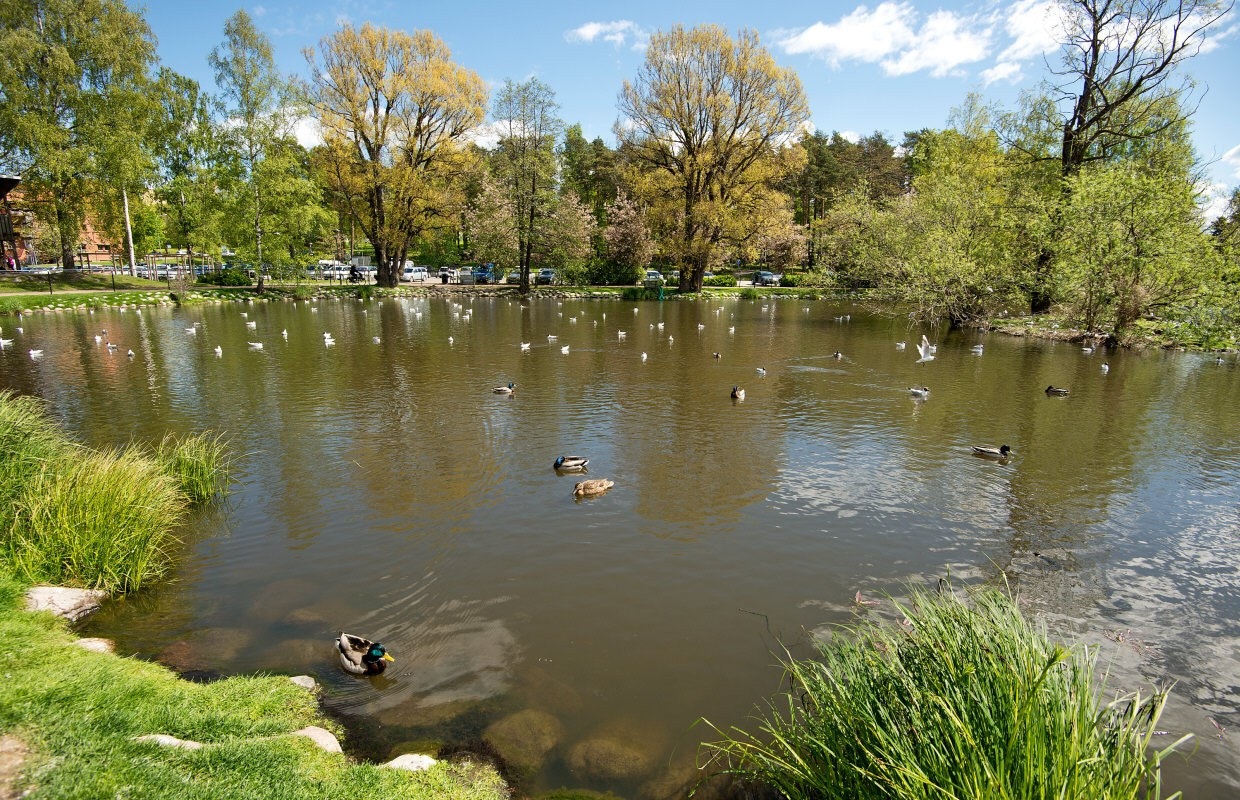 Stadspark Galleribilde