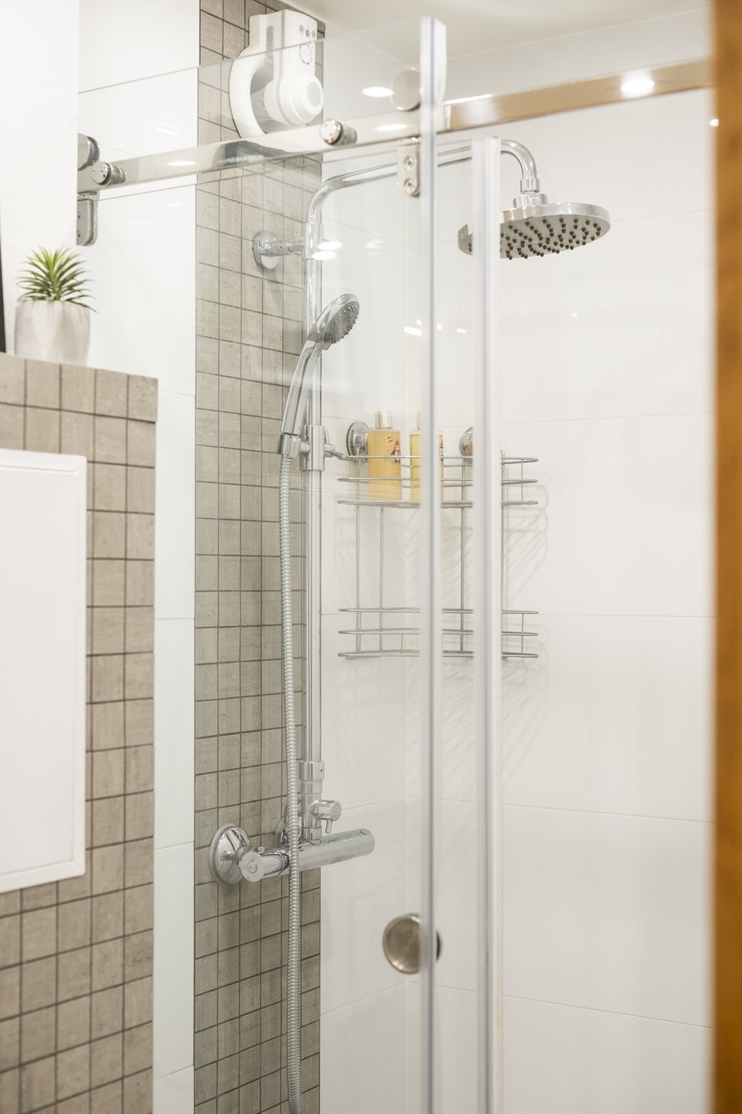 Romslig dusjsone med regndusj. Galleribilde