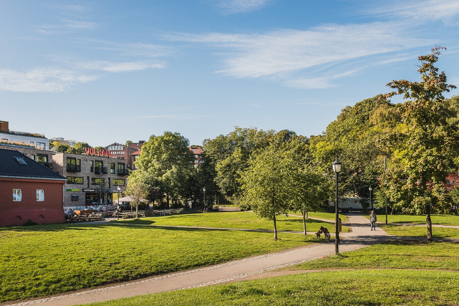 Hyggelige grønne lunger i Kubaparken. Galleribilde