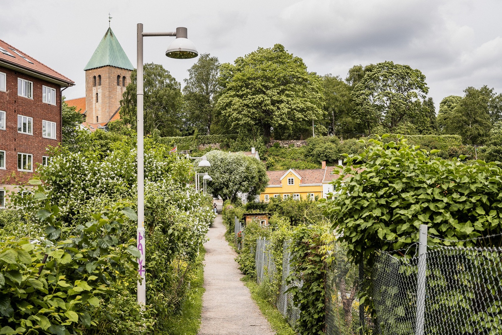 Lokale turmuligheter: Kjærlighetsstien leder til vakre Utsikten med strålende utsikt i Westye Egebergs gate og Vår Frelsers gravlund. Galleribilde
