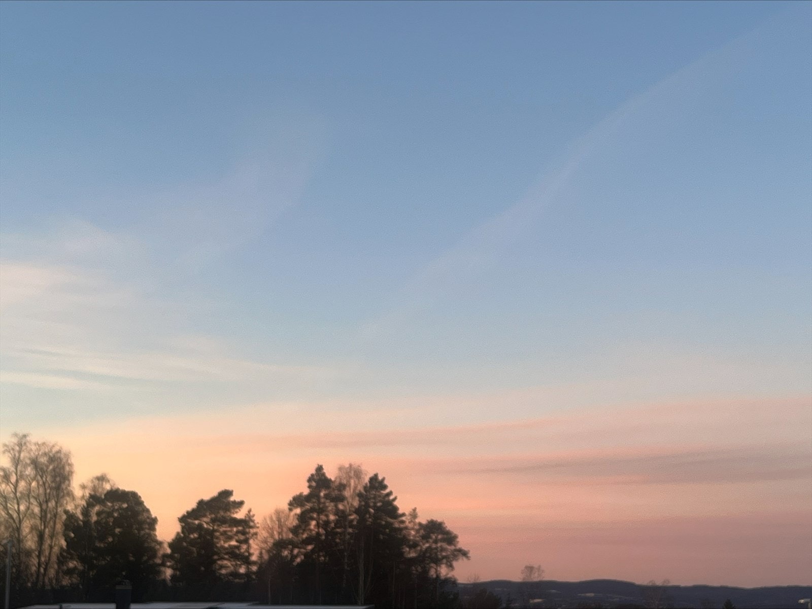 Selgers private bilde. Galleribilde