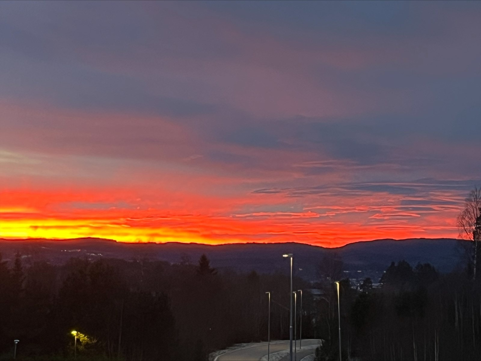 Selgers private bilde. Galleribilde