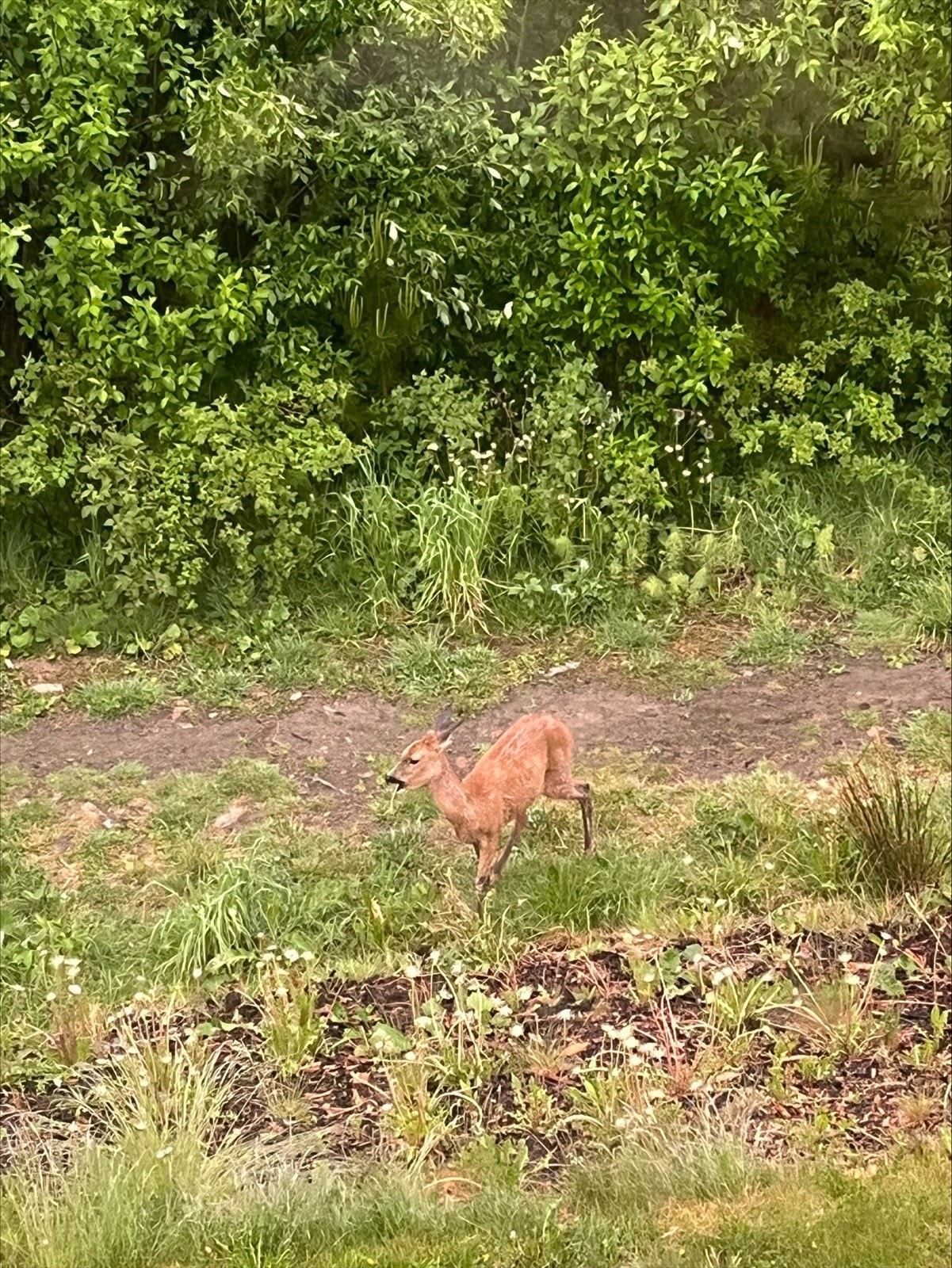 Selgers private bilde. Galleribilde