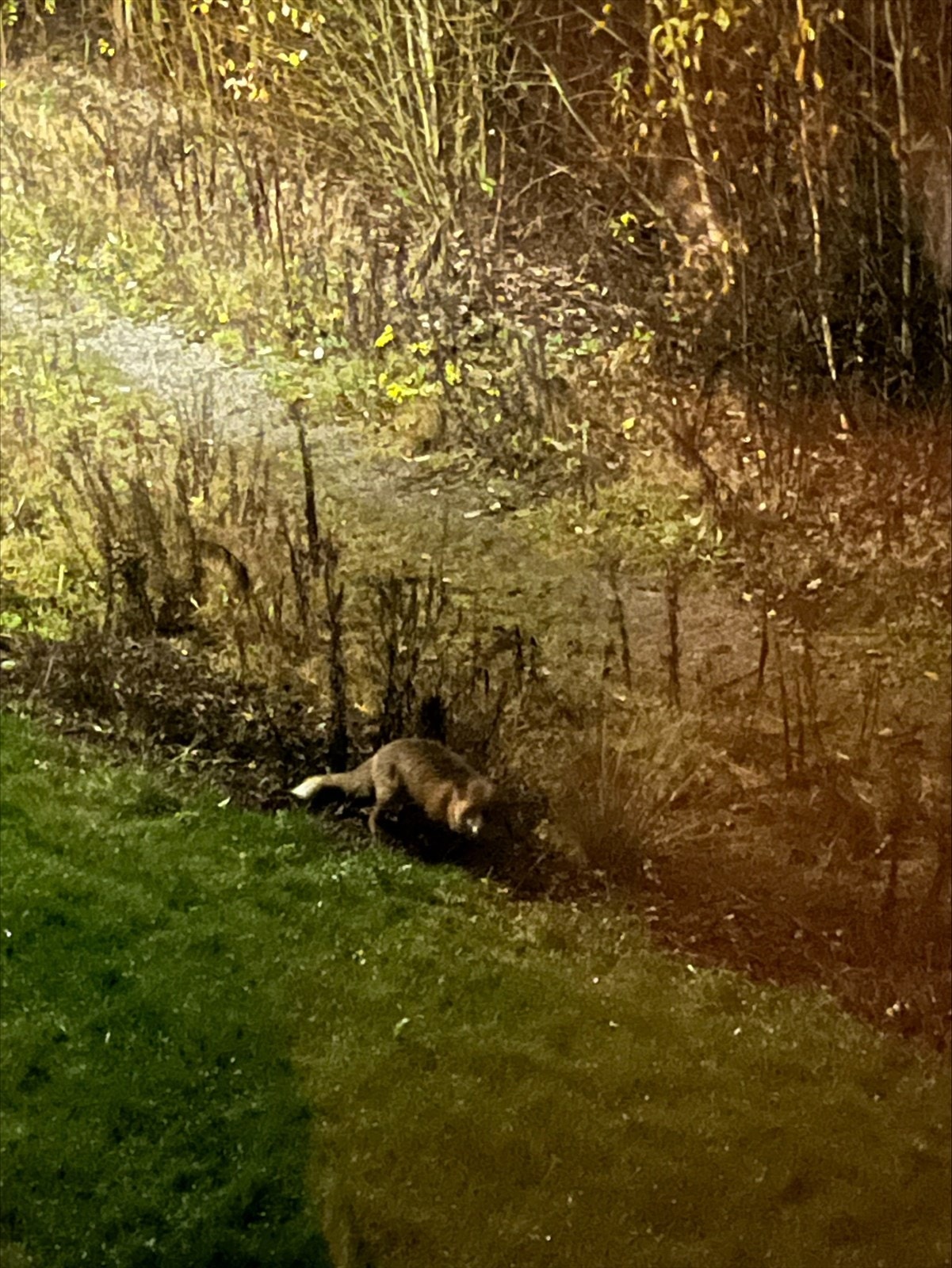 Selgers private bilde. Galleribilde