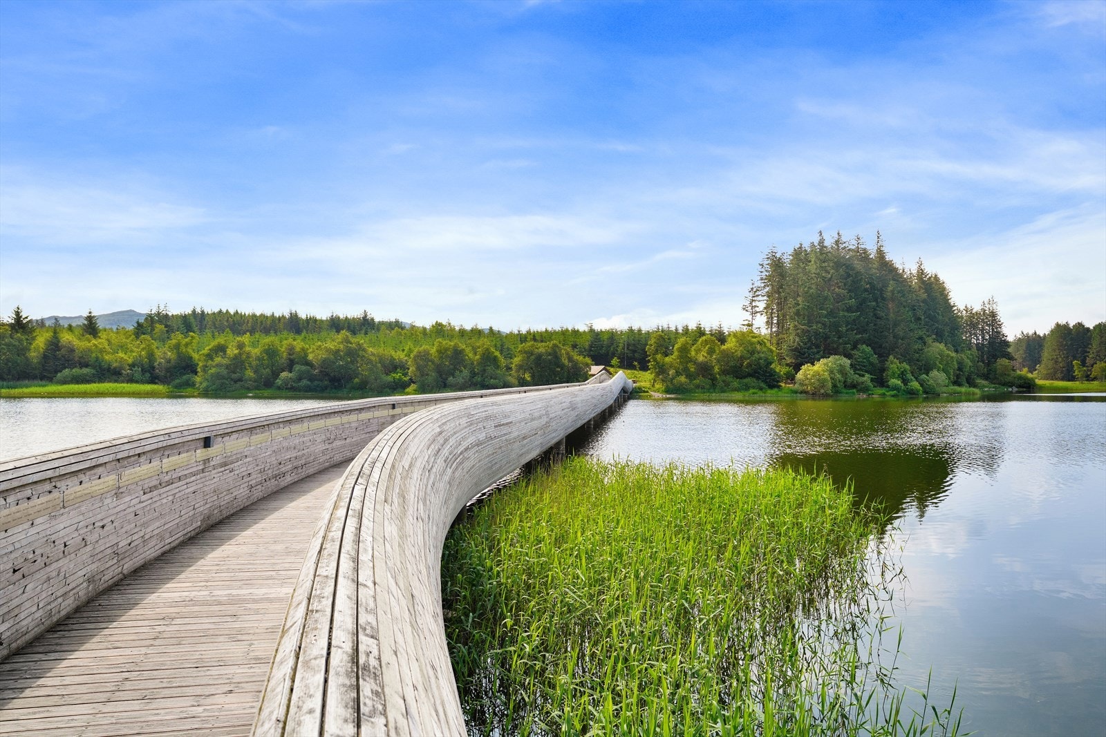 Midgardsormen Galleribilde