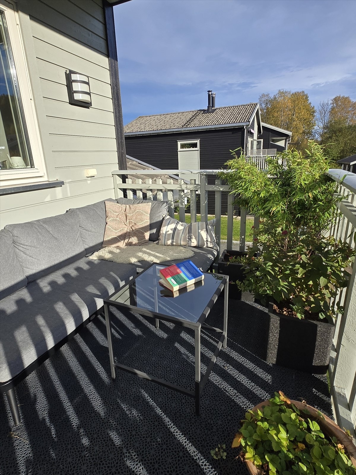 Selgers privat sommerbilde Galleribilde