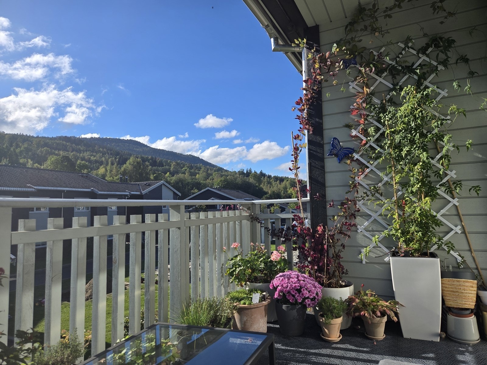 Selgers privat sommerbilde Galleribilde