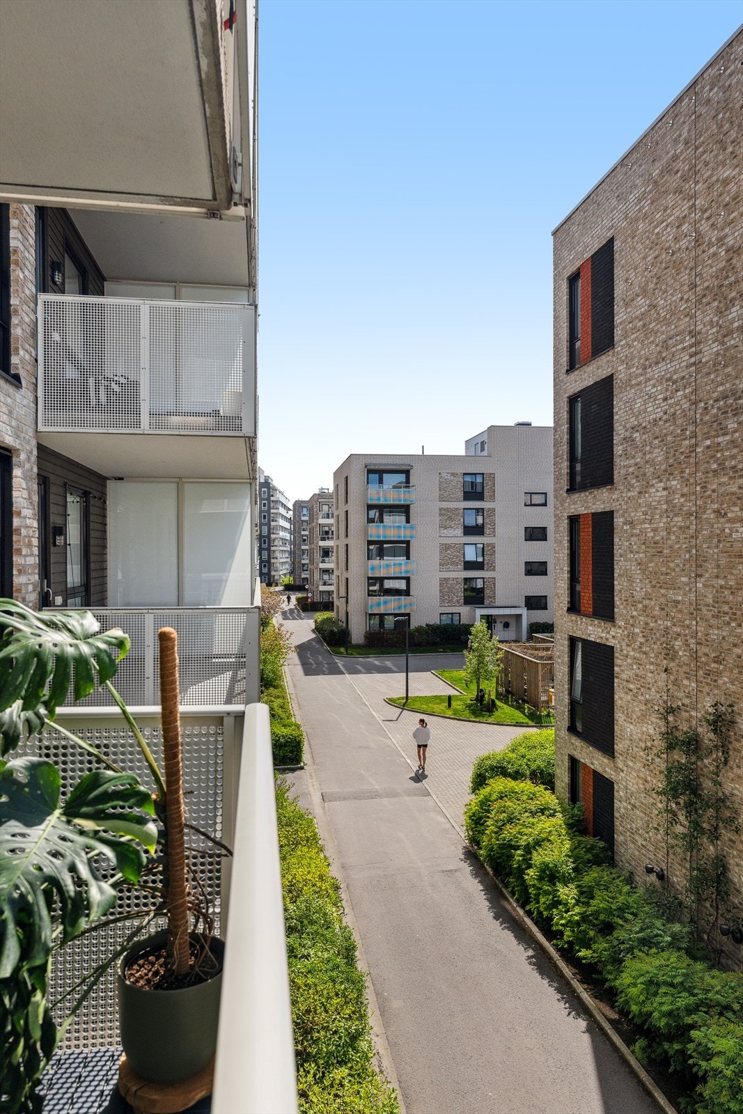 Pent opparbeidet felles bakgård med grønne soner. Galleribilde