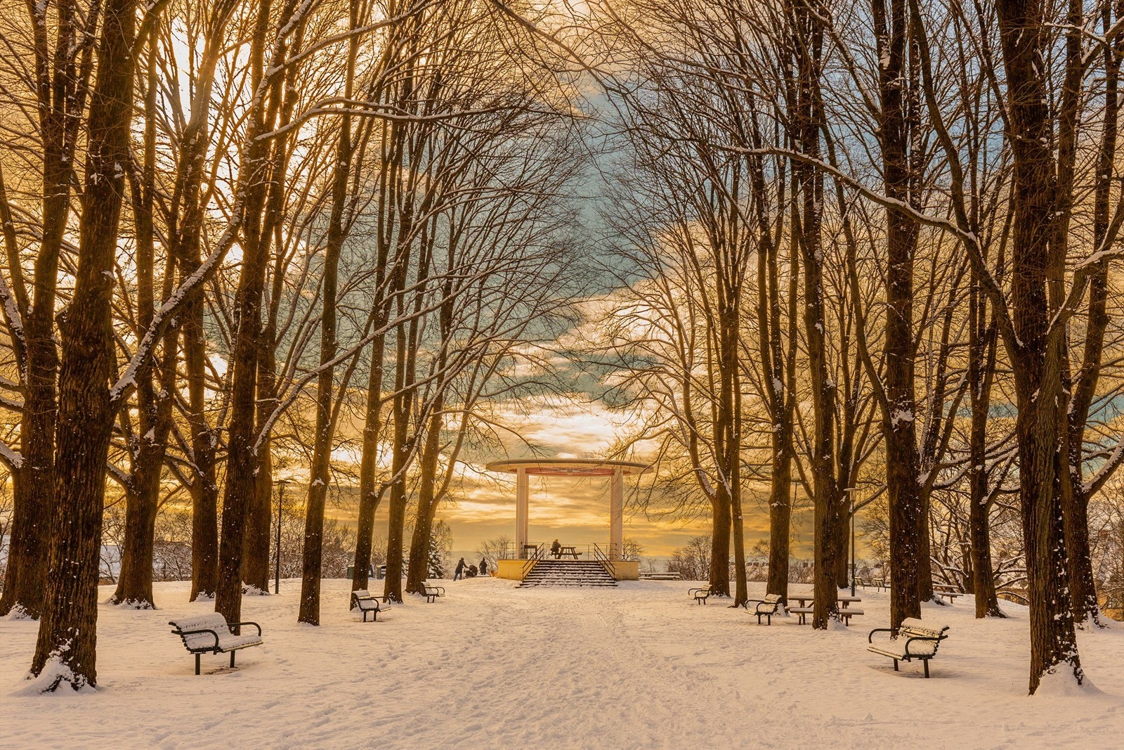 Torshovparken. Galleribilde