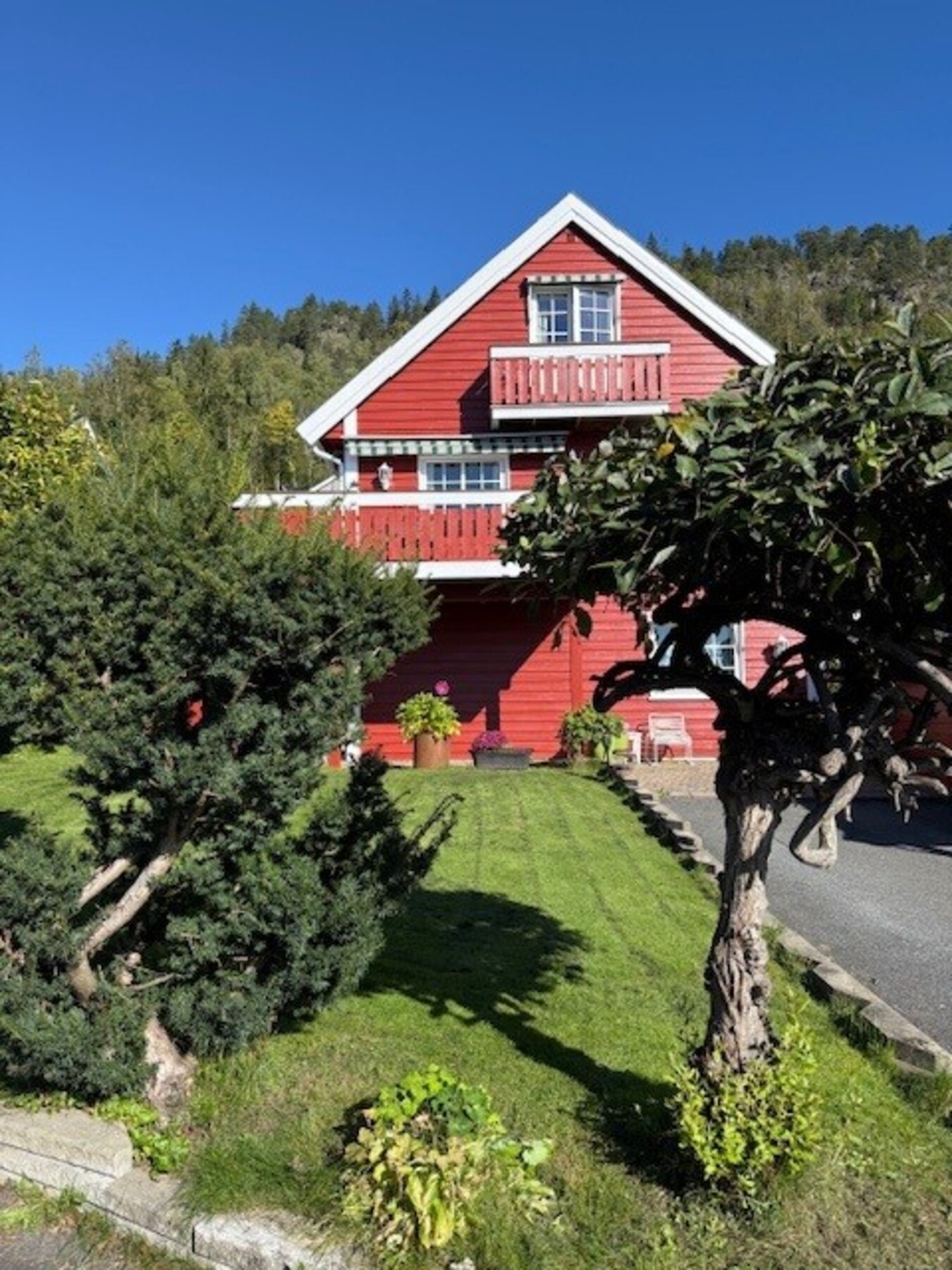 Selgers sommerbilde. Galleribilde