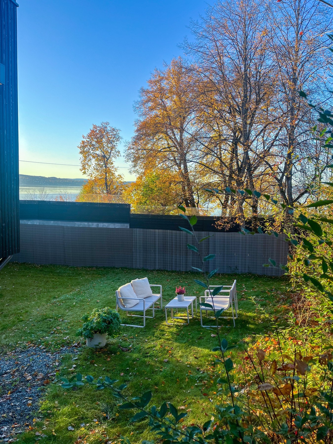 Hagedel som seksjonen har disposisjonsrett til. Galleribilde