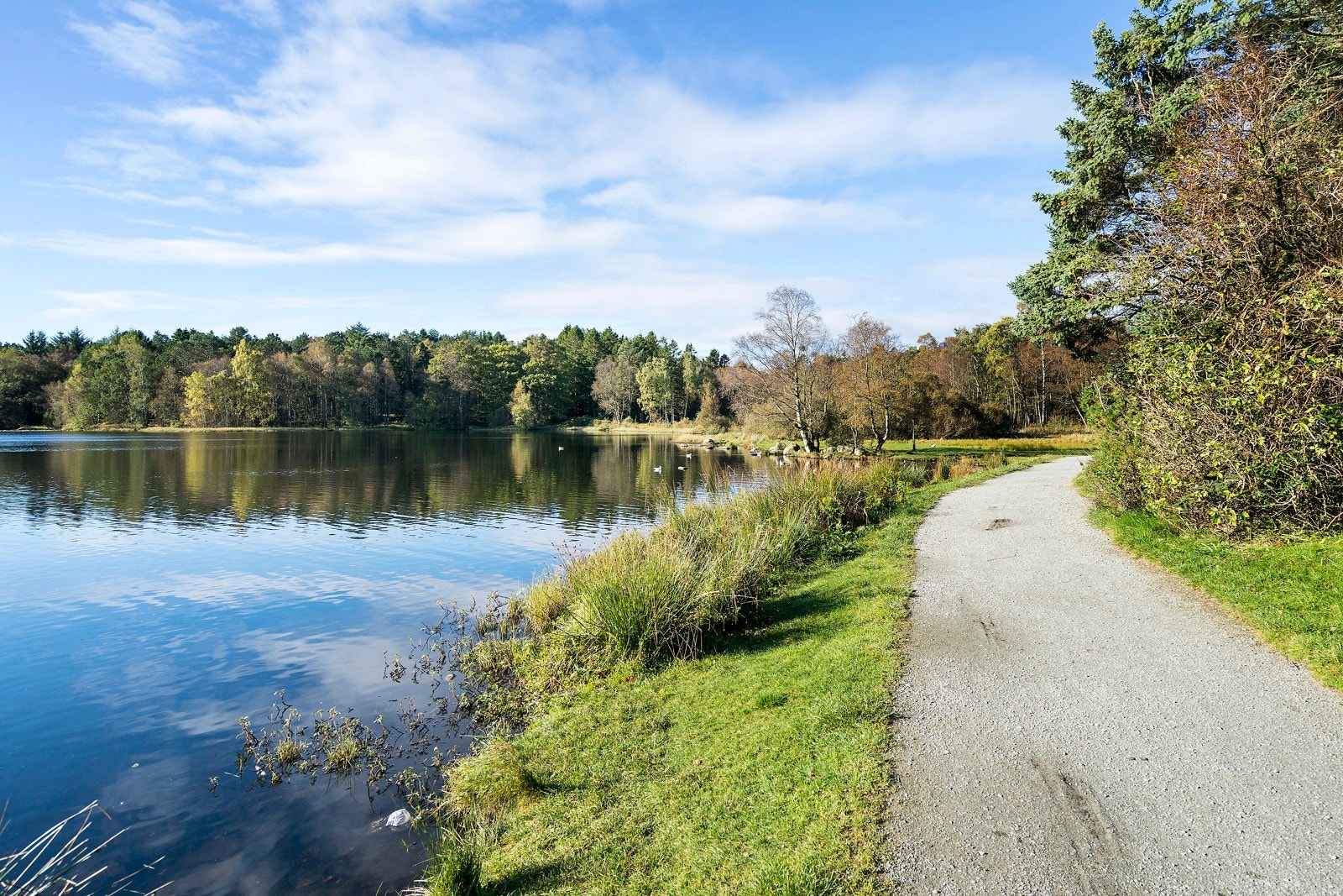 Nærområde. Galleribilde