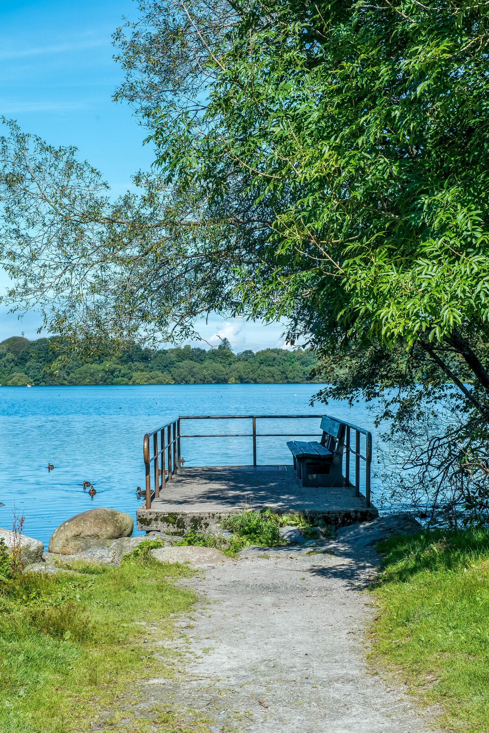 Nærområde. Galleribilde