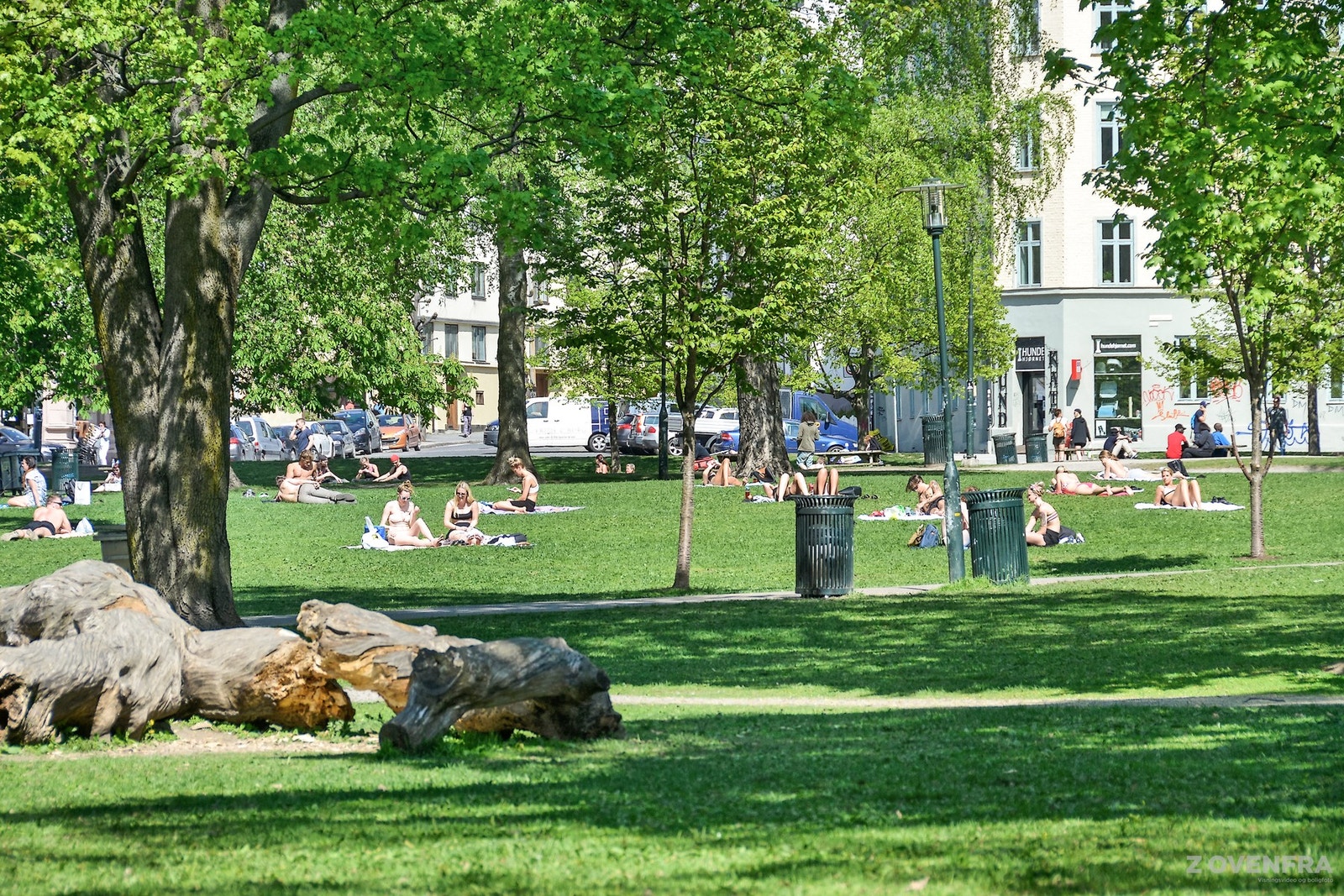 Sofienbergparken ligger kun ca. 150 meter unna og er en populær park kjent for sine store gressplener, trær og hyggelige atmosfære. Parken er et yndet sted for pikniker, soling og sosiale sammenkomster, spesielt på varme sommerdager. Galleribilde