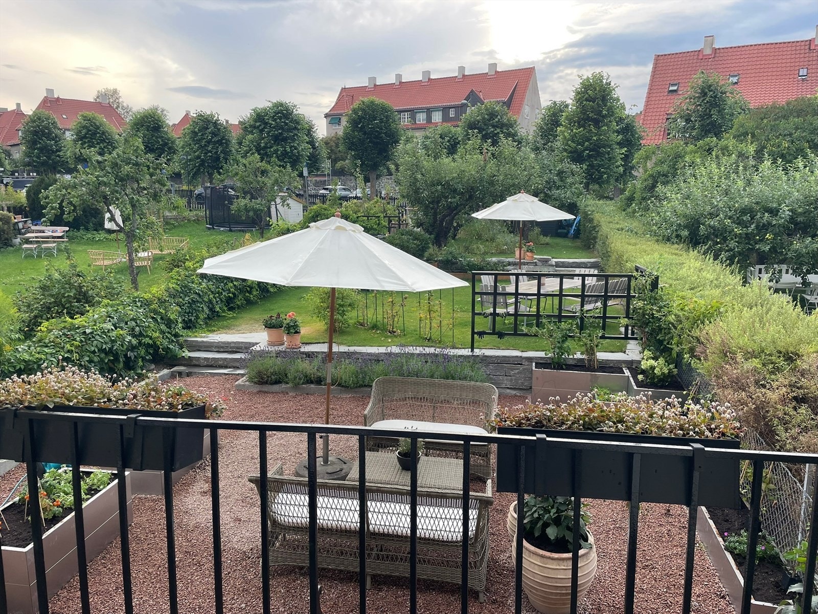 Sommer i hagen. Galleribilde