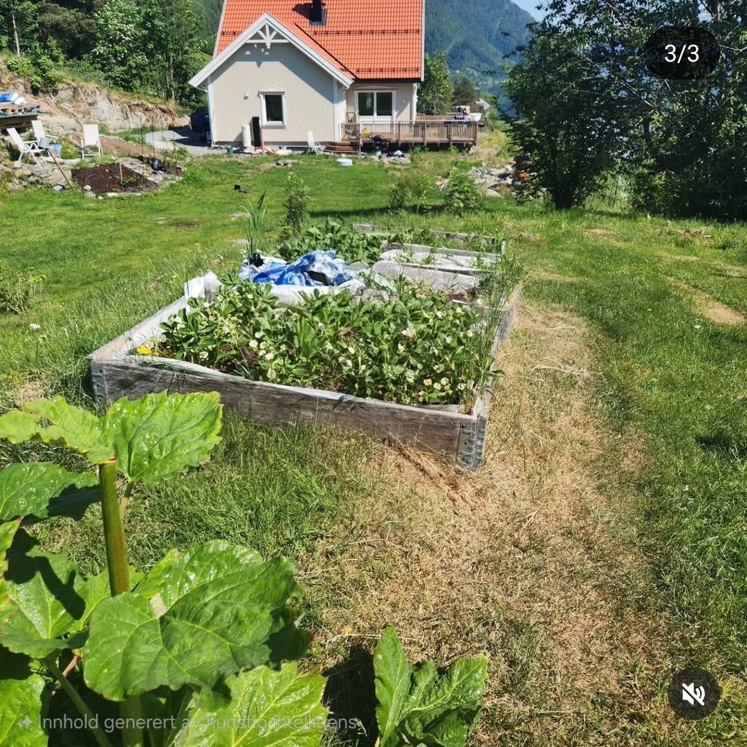 Gå rett ut og ta med deg kortreiste bær Galleribilde