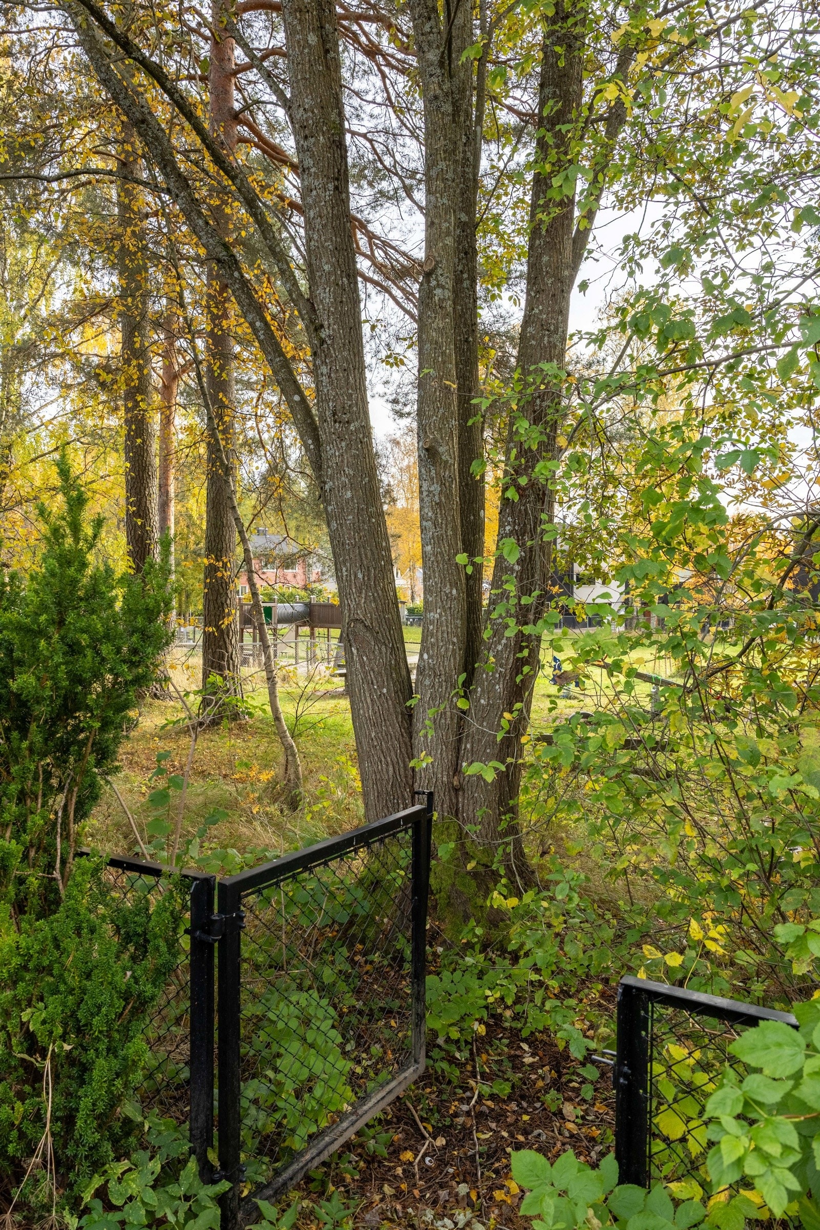 Hagen har port direkte ut til Hansemyrparken. Galleribilde