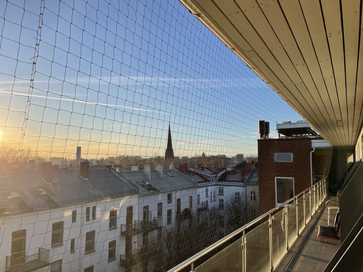 Flott utsikt med kveldssol Galleribilde