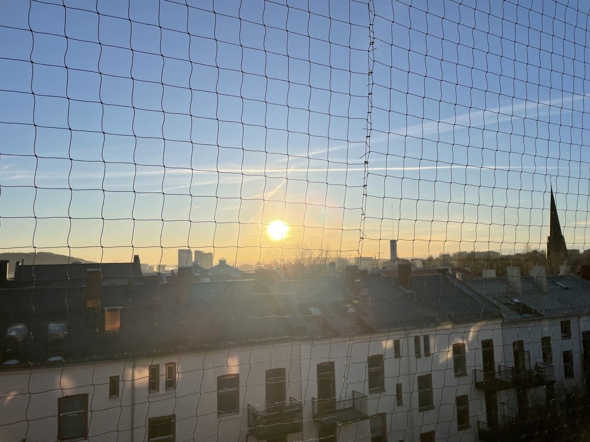 Kveldssol Galleribilde