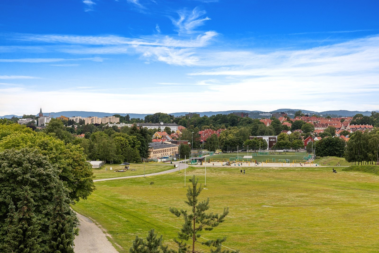 Utsikt sommer. Galleribilde