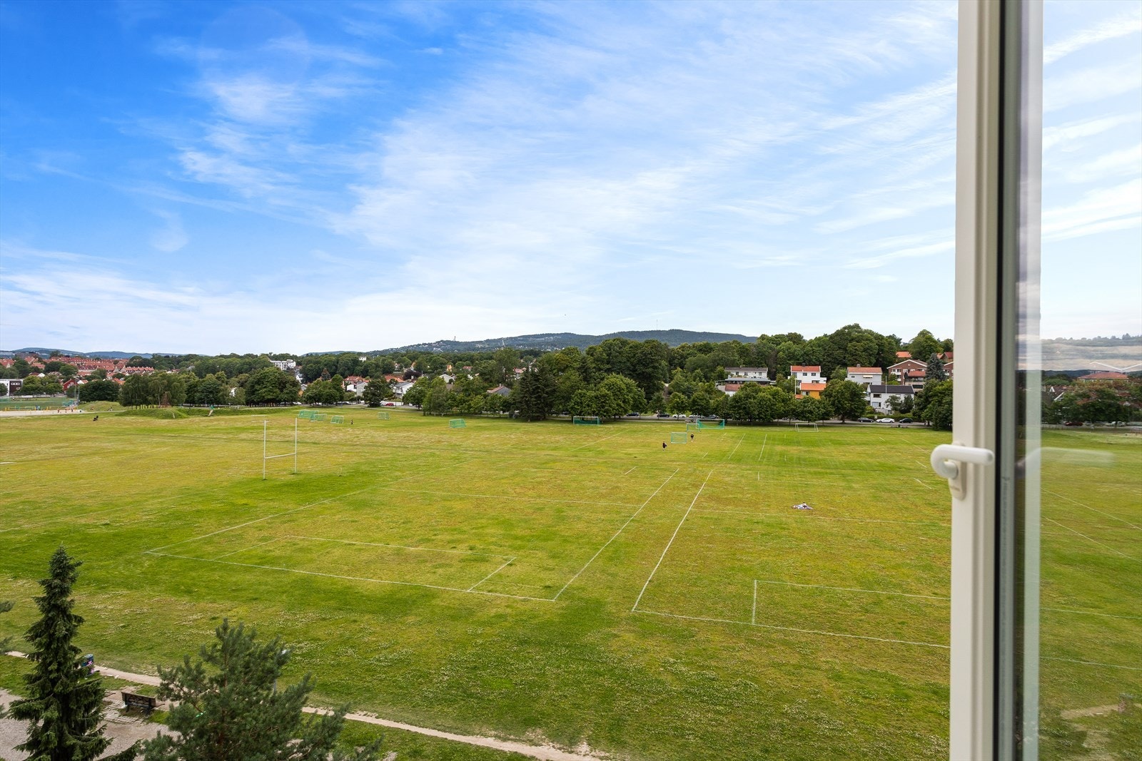 Utsikt sommer. Galleribilde