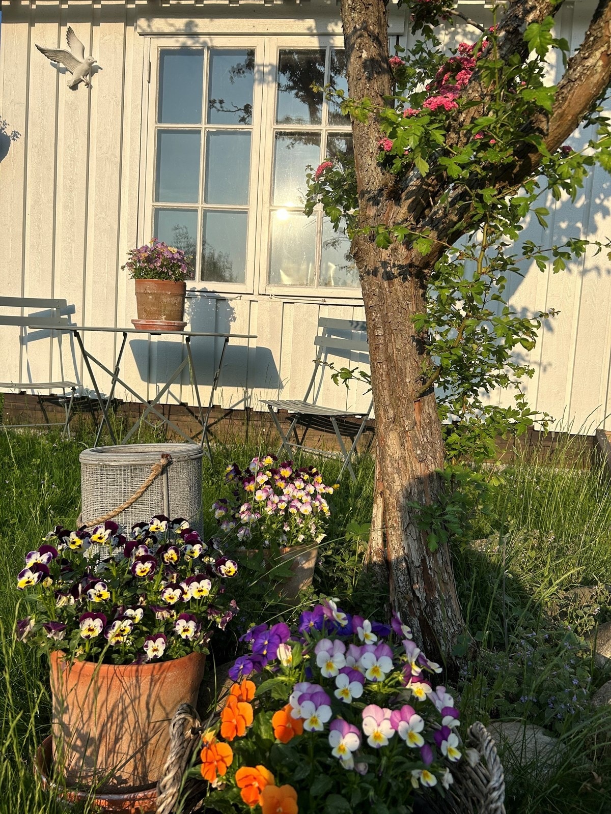 Det er kort vei til skoler, barnehager og idrettsanlegg. Selgers private bilde fra sommerstid. Galleribilde