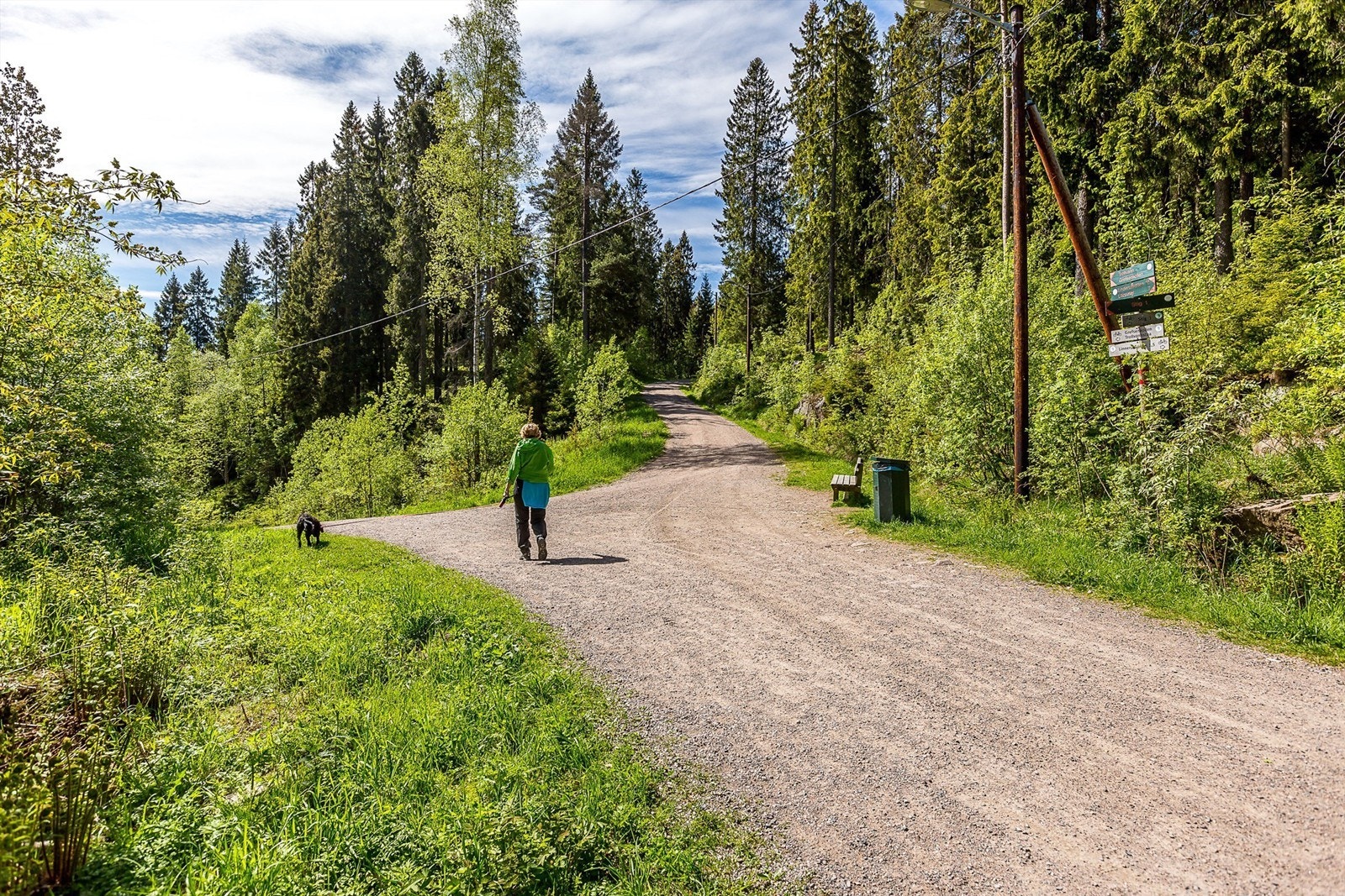 Og får de naturglade så er Lillomarka ikke langt unna. Galleribilde