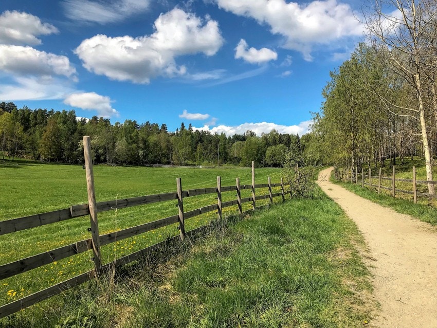 Søndre Ås gård i nærheten. Et flott sted for avkobling og joggeturer, med flere stier rundt og gjennom gården. Området er flott tilrettelagt til deg med hund, med en egen hundeslette i nærheten. Galleribilde