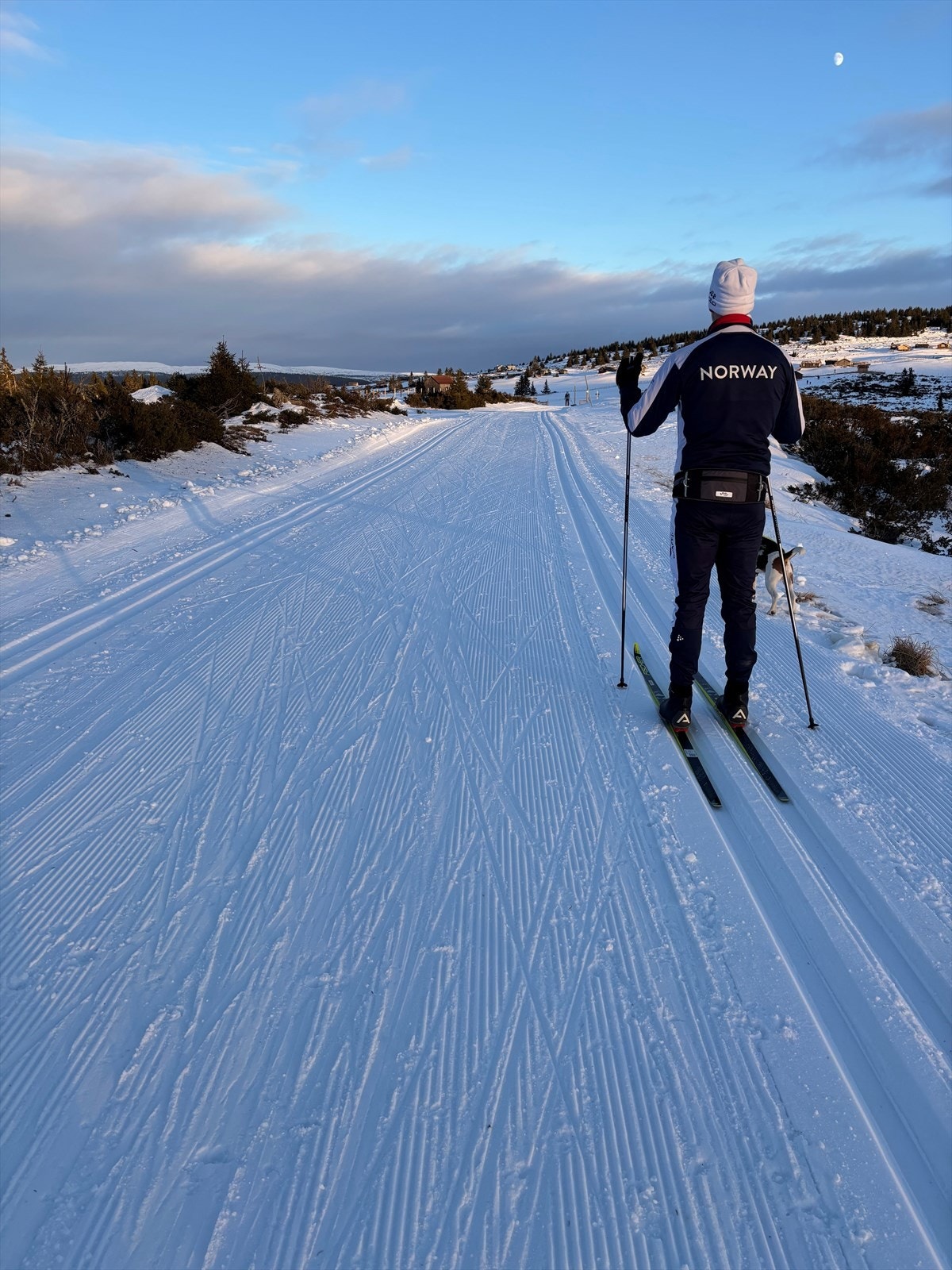 Skiløype Galleribilde