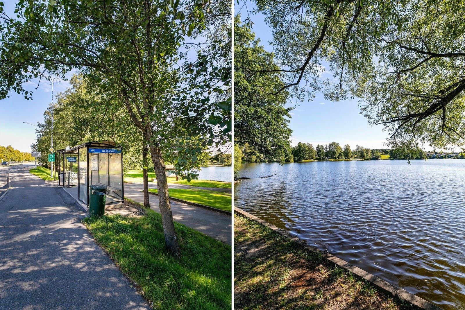Fra parken går det tursti videre ut i Mossemarka som er ypperlig for løpeøkter eller skiturer når forholdene tillater vinterstid. Galleribilde