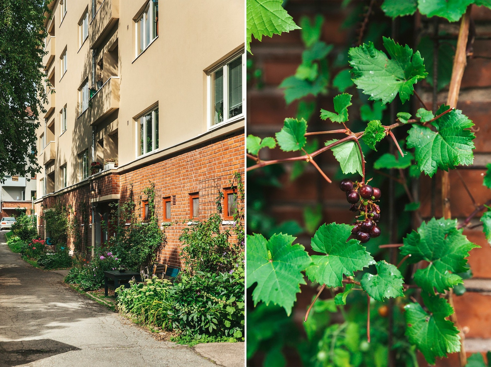 Nærområdet er både stille, rolig og frodig. Galleribilde