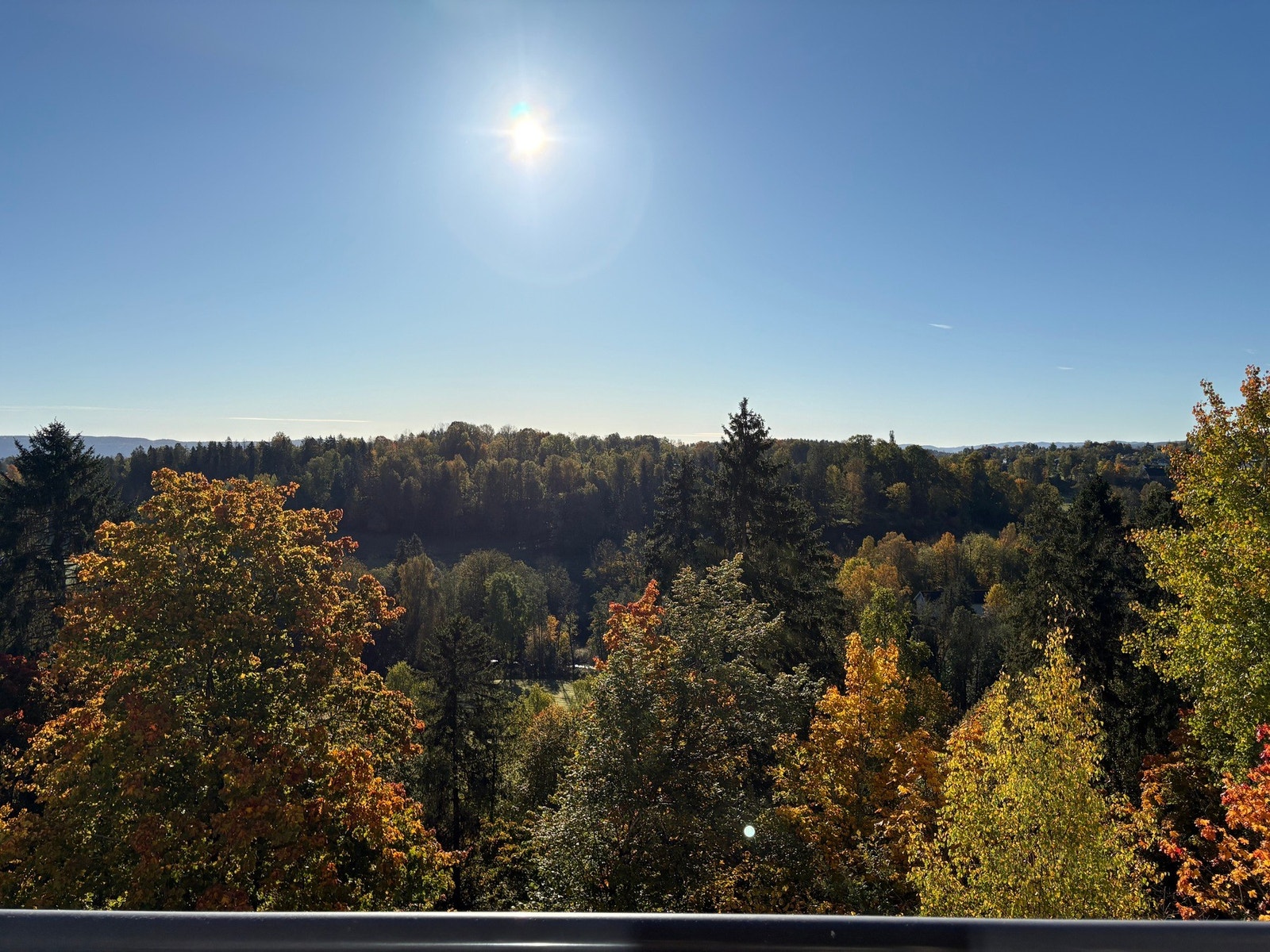 Selgers bilde. Galleribilde