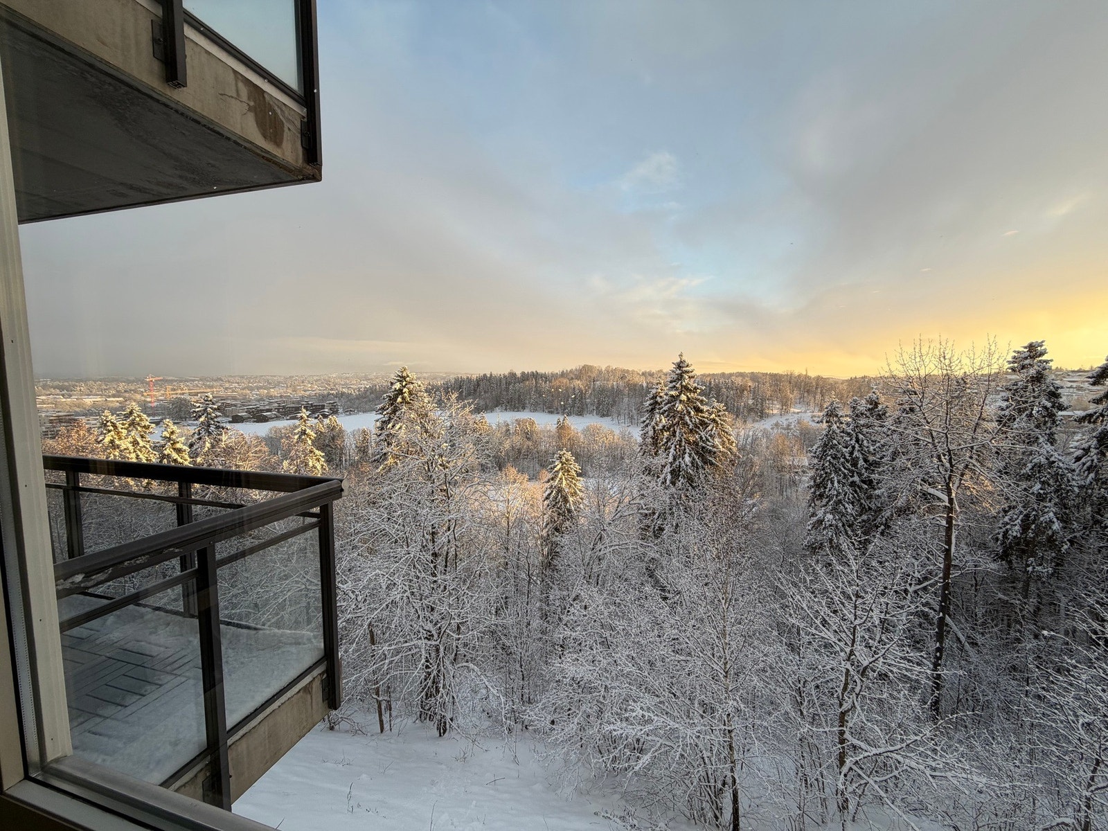 Selgers vinterbilde. Galleribilde