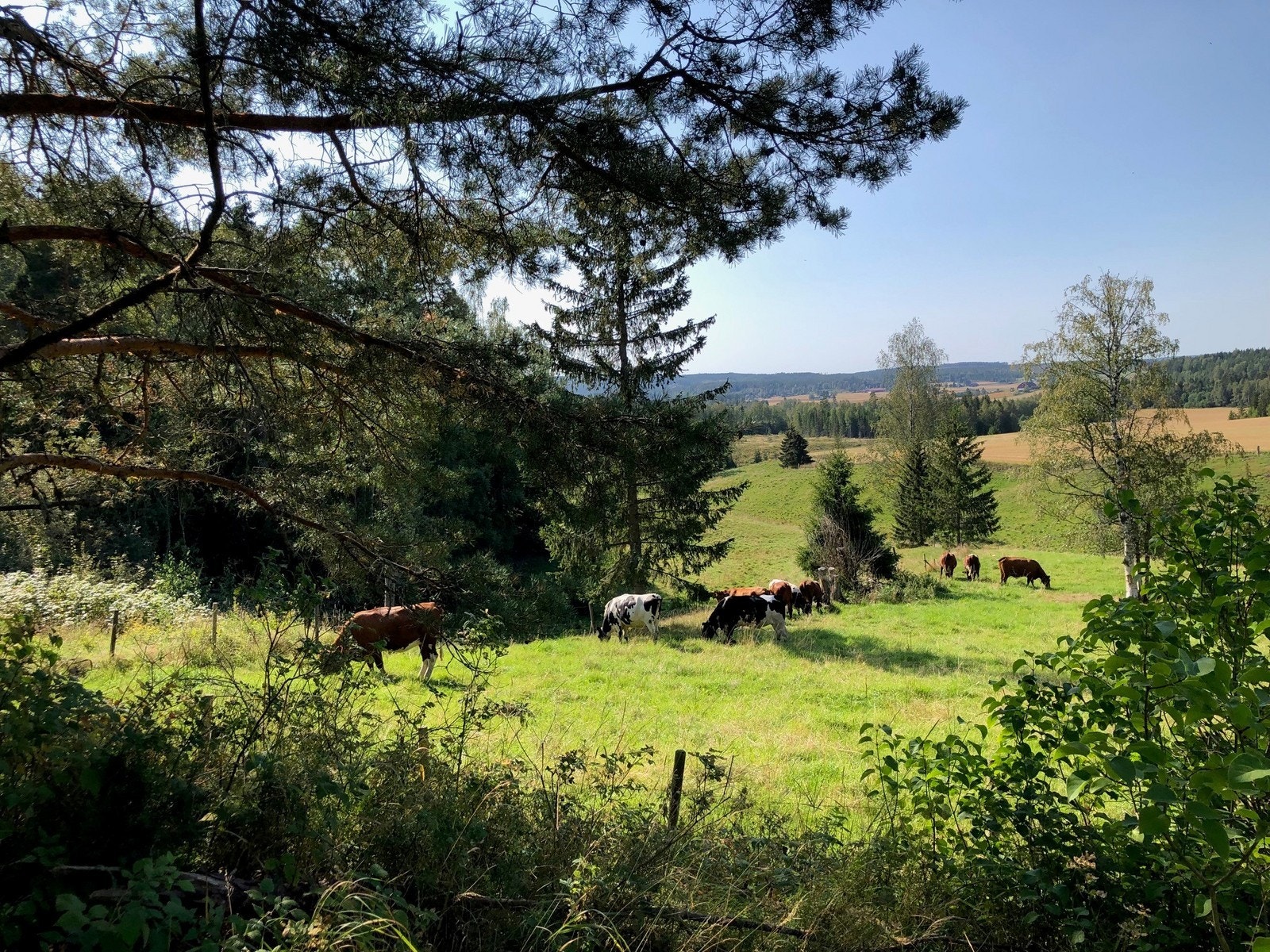 Landlig omgivelse. Huset ligger allikevel sentralt til med kort vei til Blaker sentrum. Galleribilde