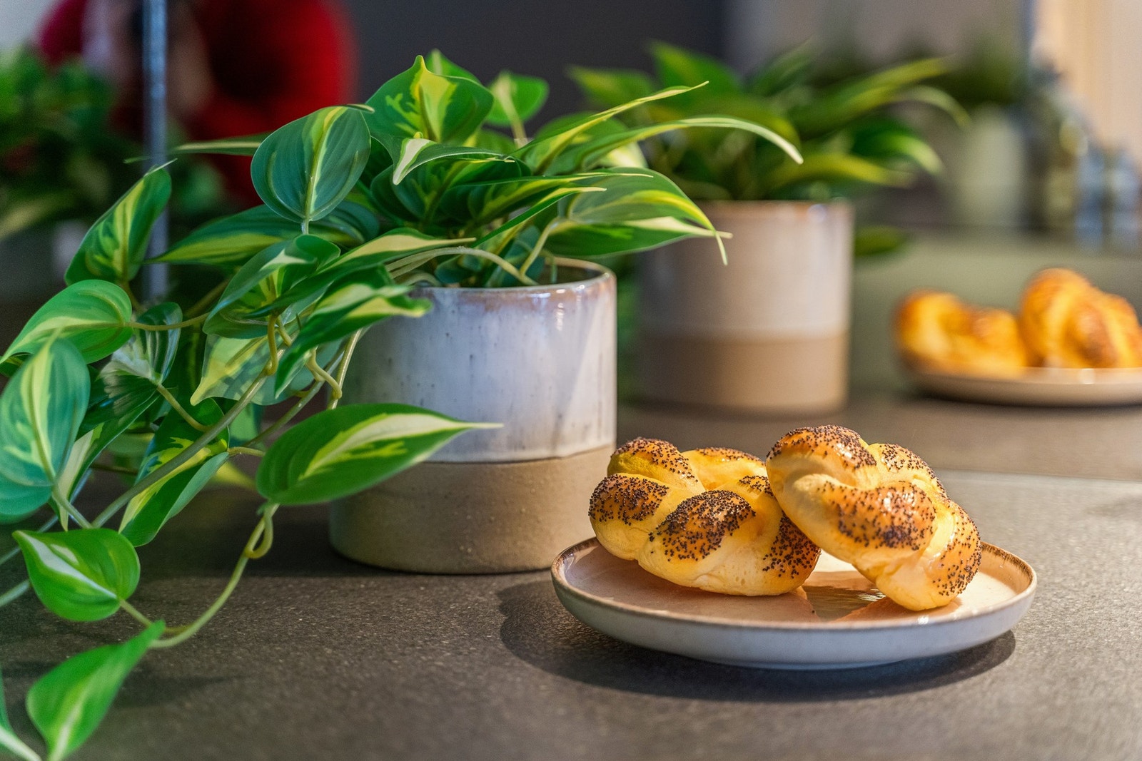 Detaljene teller - her er kjøkkenbenken pyntet med grønne planter og ferske bakervarer som fremhever den lune atmosfæren i rommet. Galleribilde
