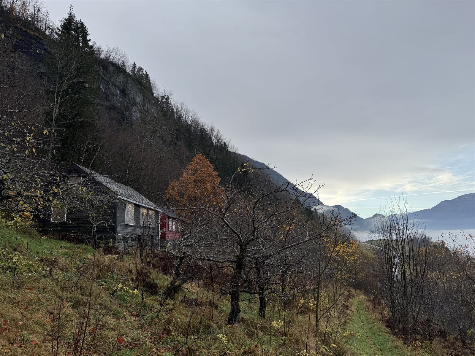 Utsikt sørover i fjorden Galleribilde