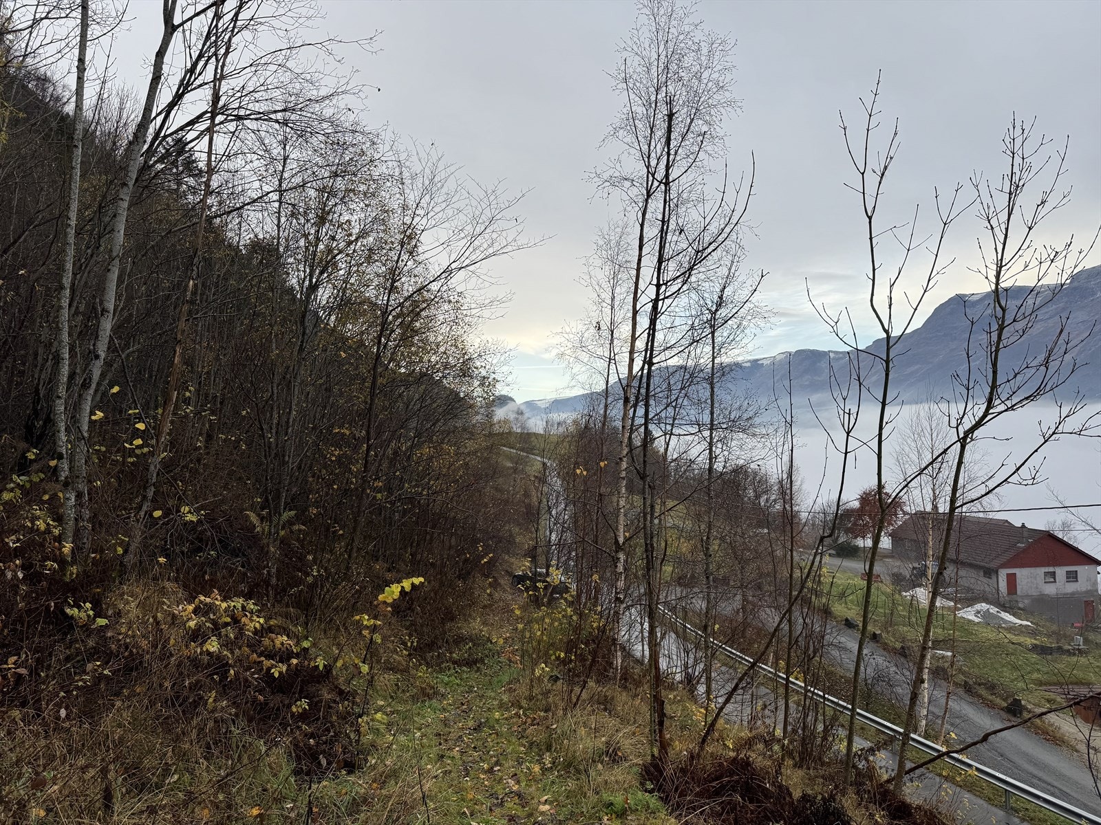 Utsikt sørover fjorden Galleribilde