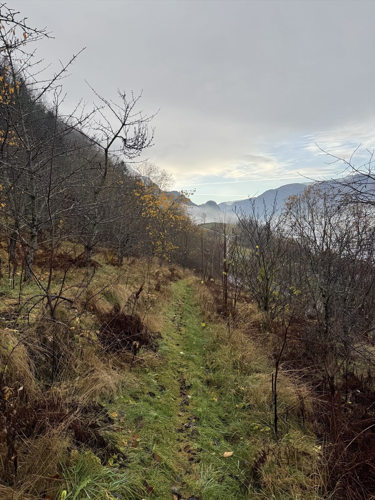 Gangsti fra vei. Galleribilde