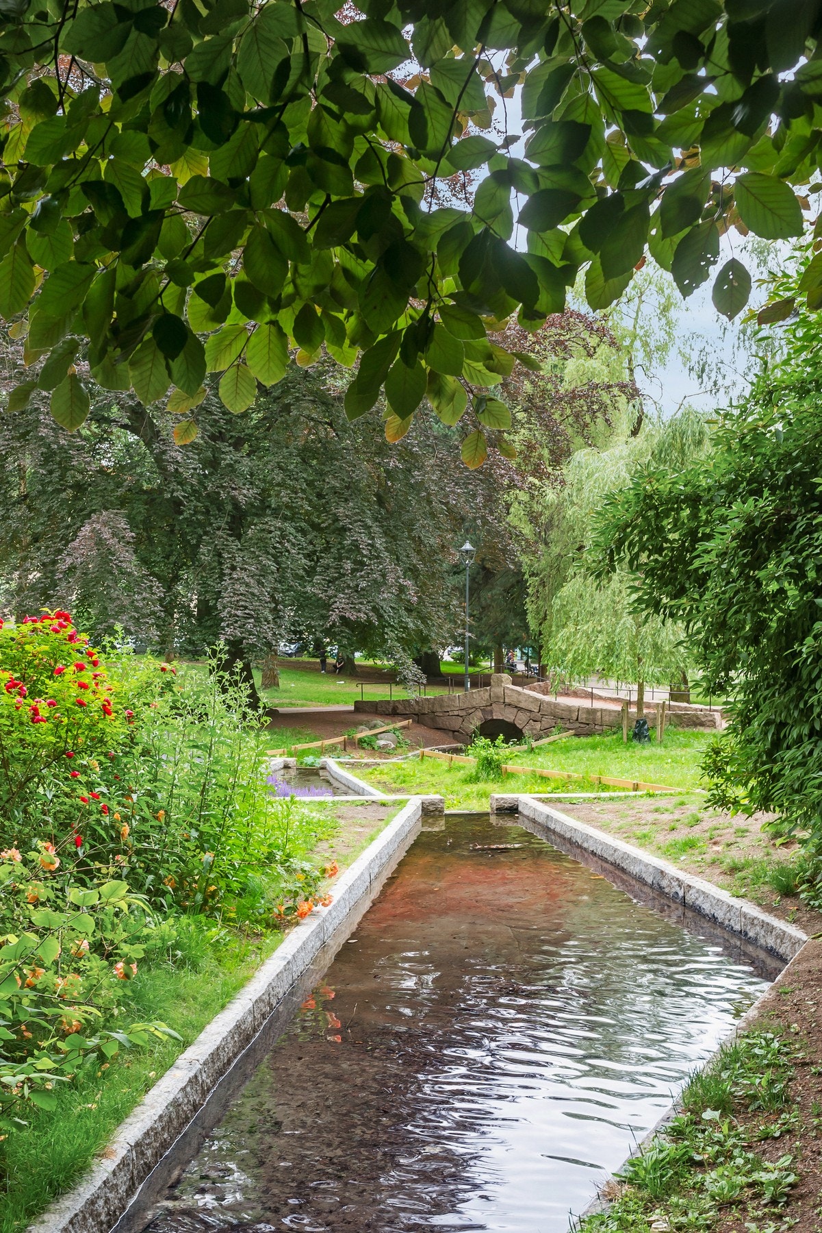 Grønne omgivelser Galleribilde