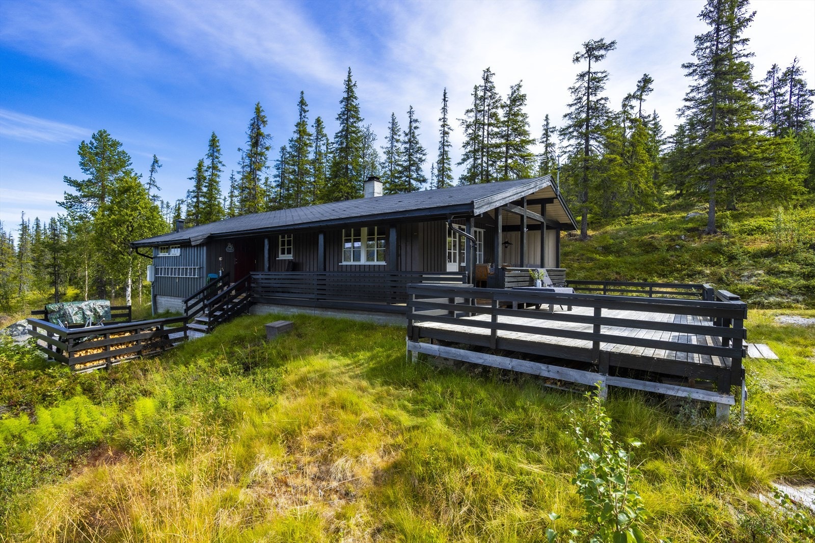 Tomten er på hele 2 098,30 m² og består av naturlig vegetasjon. Galleribilde