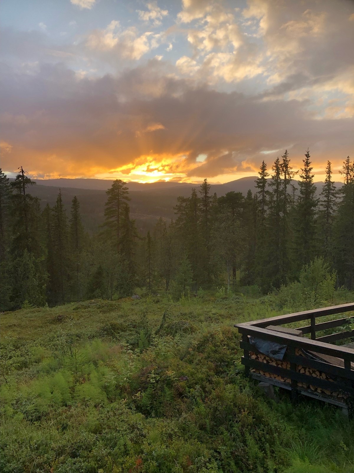 Selgers private foto. Galleribilde