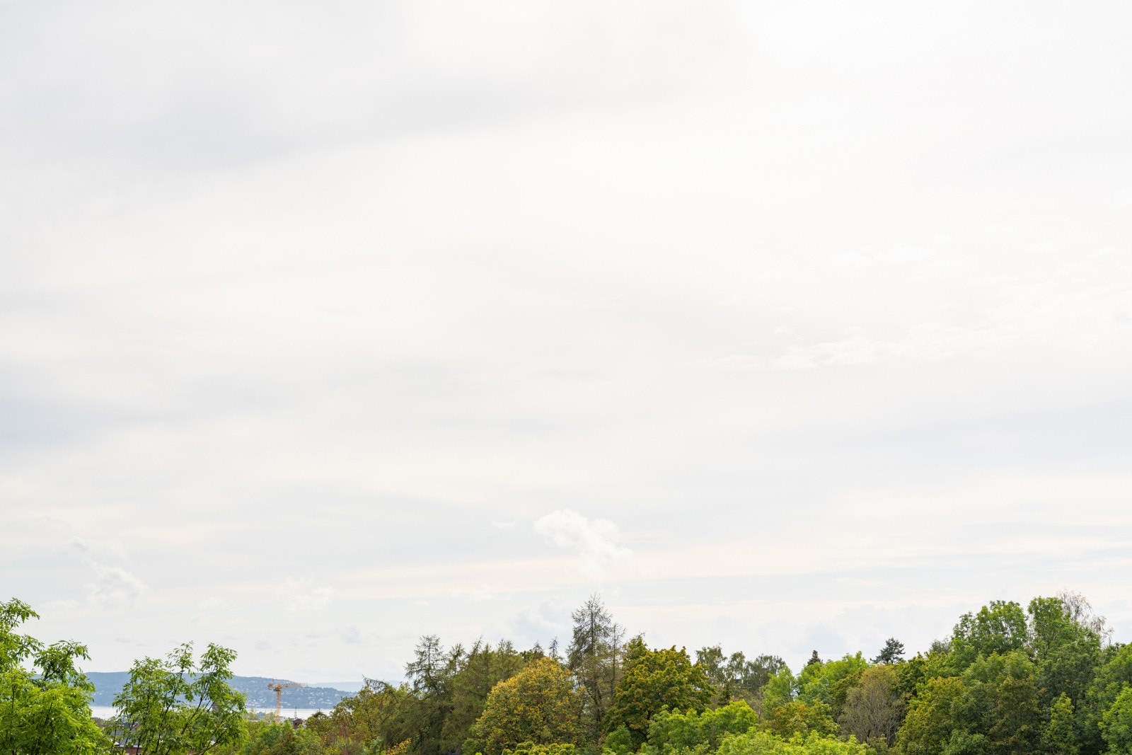Flott utsikt over grønne tretopper og videre nedover mot fjorden - en levende utsikt som forandrer seg med årstidene. Galleribilde